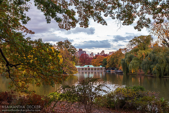 Central Park, New York City