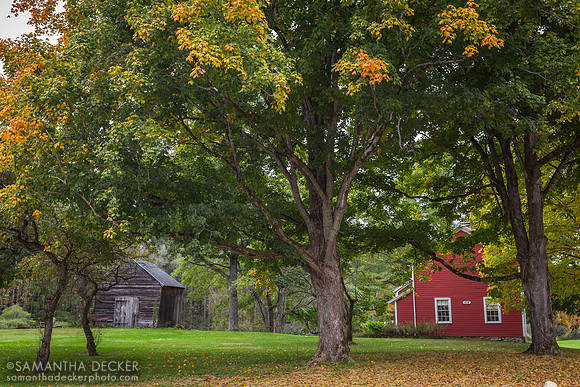 Fall in Bennington, VT