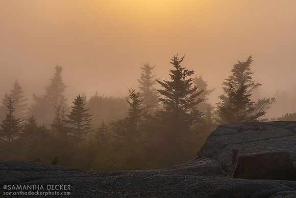 Cadillac Mountain, Acadia National Park
