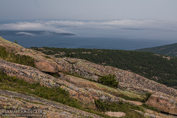 View from Cadillac Mountain, Acadia National Park