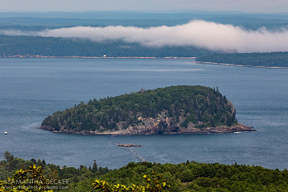 Bald Porcupine Island, Acadia National Park