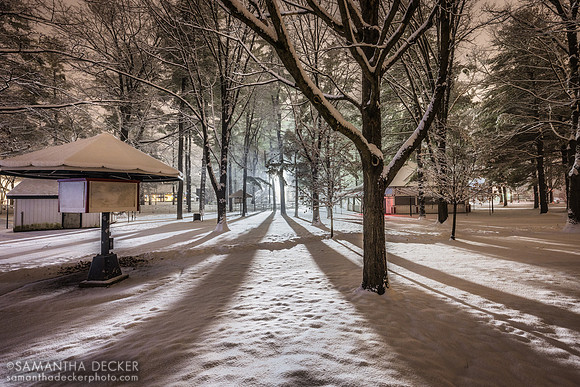 Saratoga Race Course in Winter, 2022