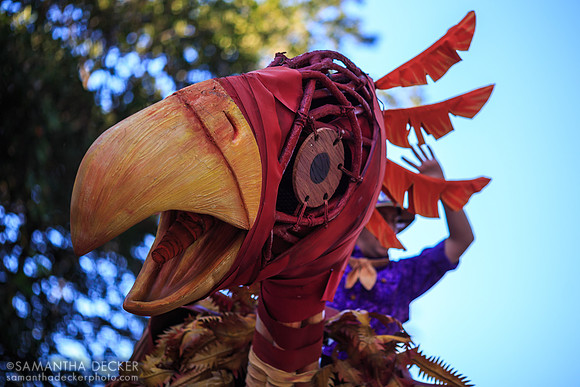 Mickey's Jammin' Jungle Parade, Disney's Animal Kingdom