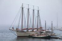 Marina, Bar Harbor, ME