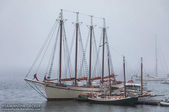 Marina, Bar Harbor, ME