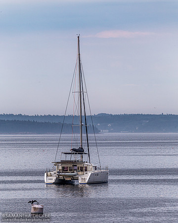 Boat off the Shore of Bar Harbor, ME