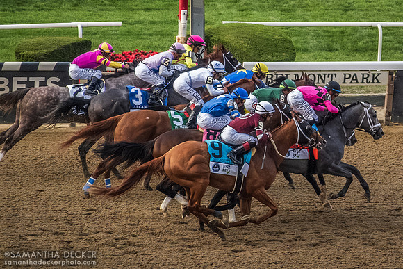Arcangelo wins the Belmont Stakes, Belmont Park, Elmont, NY
