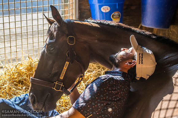 Francisco Serrano cuddles with Thorpedo Anna at Saratoga, 2025