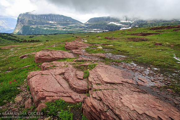 Hidden Lake Trail, Glacier National Park
