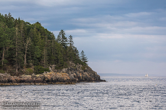Sheep Porcupine Island, Acadia National Park