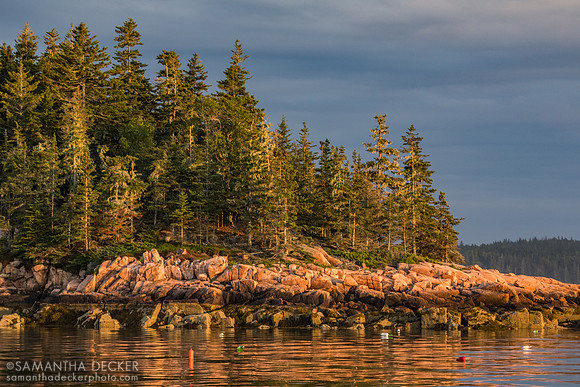 Yellow Island, Mt. Desert Narrows, Hancock County, ME
