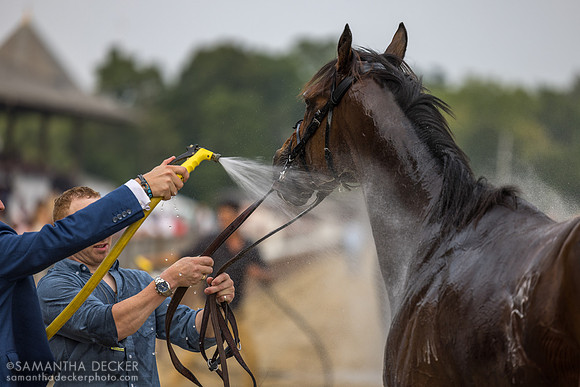 Silver Knott wins the Bowling Green S.