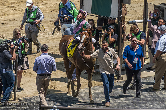 Elite Power and Irad Ortiz entering the winner's circle, Belmont Park, Elmont, NY