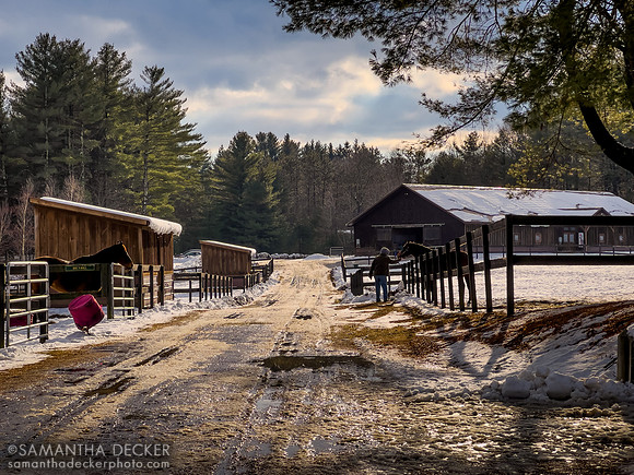 Old Friends at Cabin Creek, Greenfield, NY