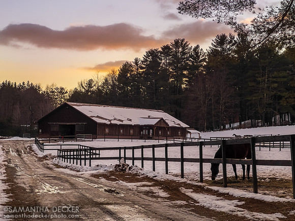 Old Friends at Cabin Creek, Greenfield, NY, 2022