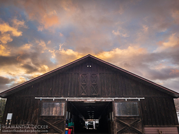 The Barn at Old Friends at Cabin Creek, Greenfield, NY, 2022