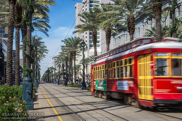 A Street Car on Canal Street