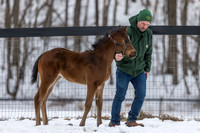 Farm manager Kyle Willard with the filly