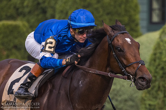 Silver Knott wins the Bowling Green S.