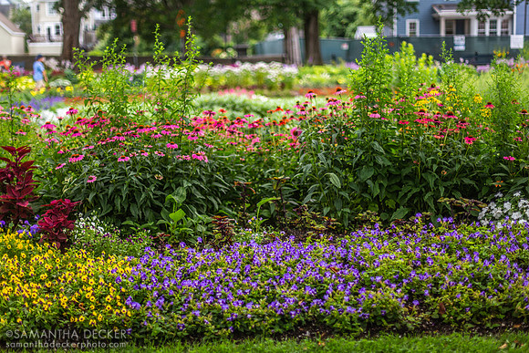 Gardens, Prescott Park, Portsmouth, NH