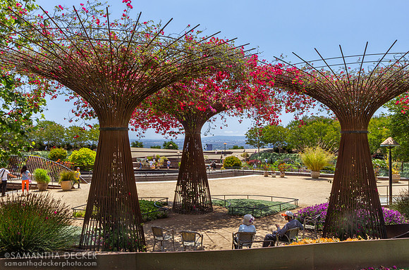 Sunny Afternoon at the Getty Museum, Los Angeles