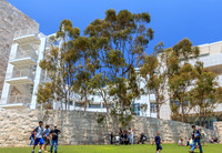 The Getty Museum Lawn, Los Angeless