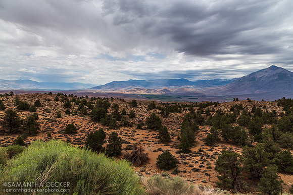 Eastern Sierra Nevada Landscape in California