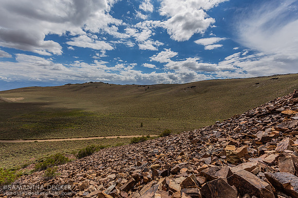 Ancient Bristlecone Pine Forest