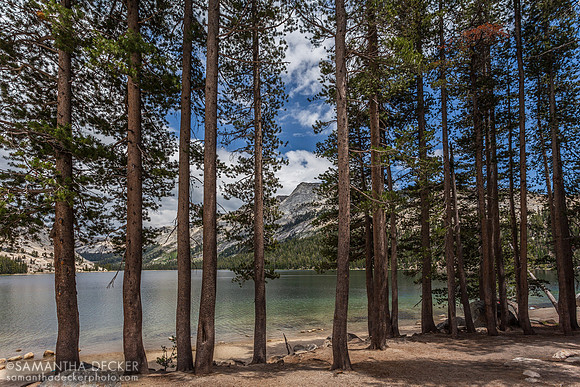 Tenaya Lake, Yosemite National Park