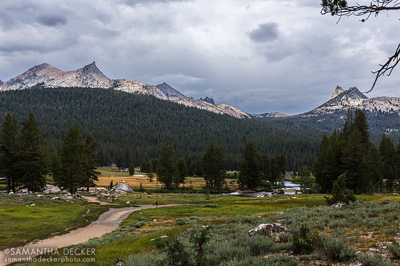 Tuolumne Meadows, Yosemite National Park