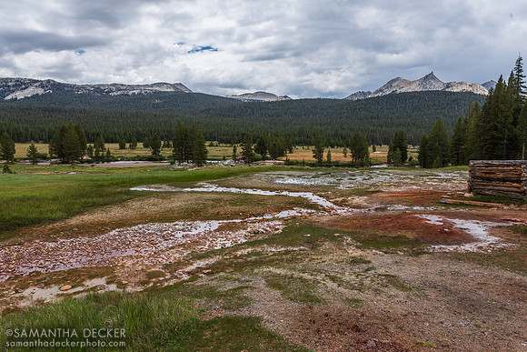 Tuolumne Meadows, Yosemite National Park