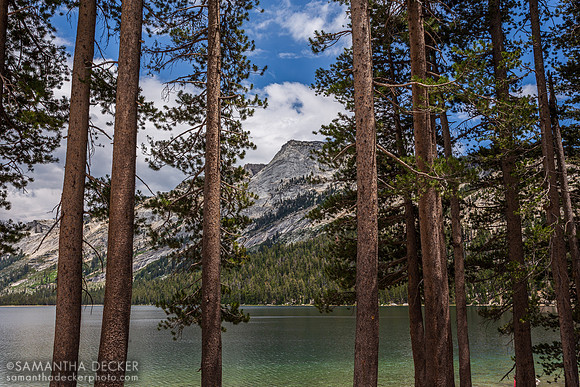 Tenaya Lake, Yosemite National Park
