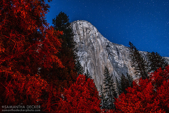 El Capitán, Yosemite National Park