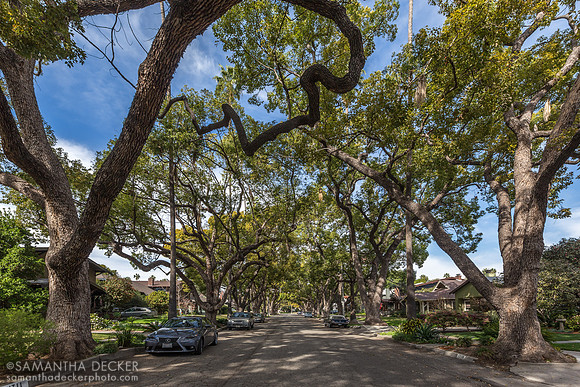 Back to the Future 1995 Street, South Pasadena, CA
