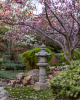 Early Morning at the Japanese Gardens