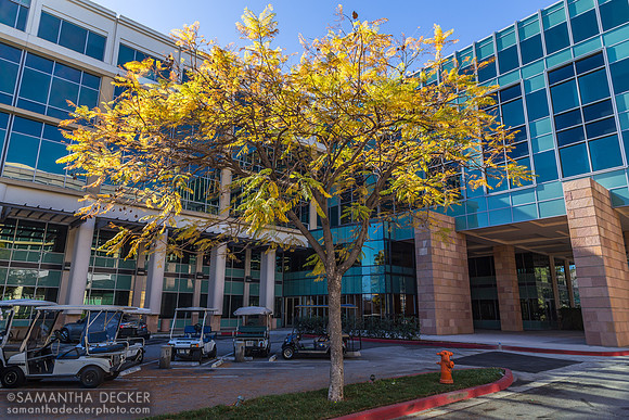 Warner Brothers Studios, Burbank, CA