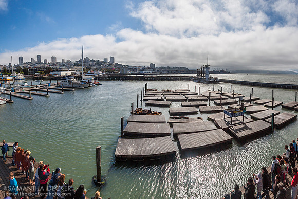 Pier 39, San Francisco