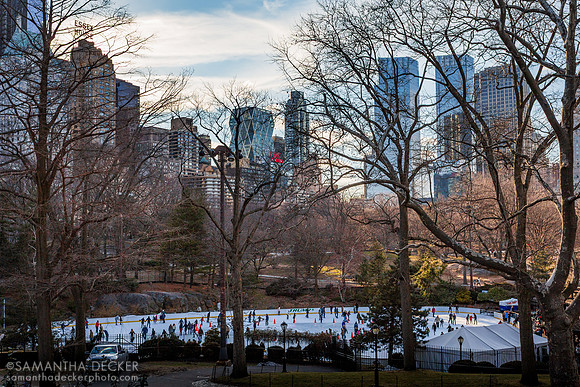 Skating in Central Park, 2013
