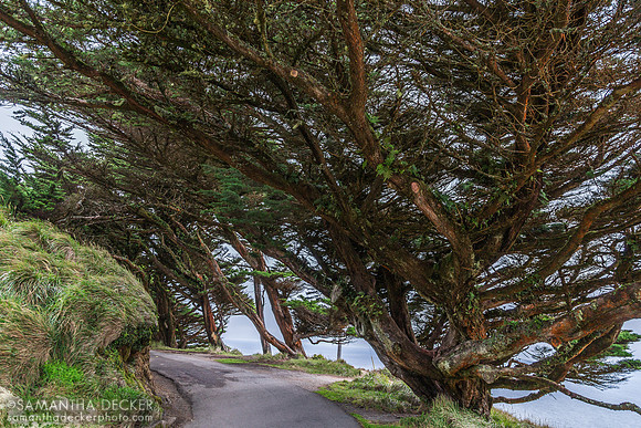 Point Reyes, CA