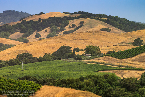 Napa, CA