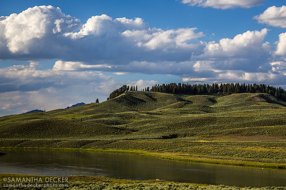 Hayden Valley, Yellowstone National Park, Wyoming
