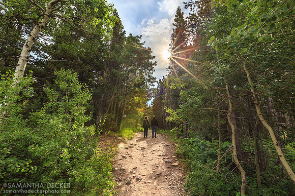 Walking Back from Fishercap Lake, Glacier National Park