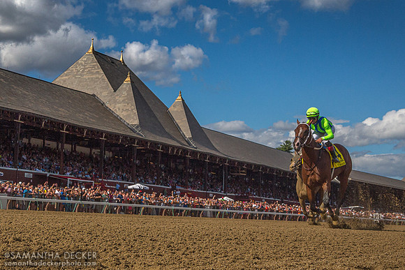 Jackie's Warrior wins the Grade I Alfred G. Vanderbilt Handicap with Joel Rosario Up