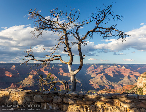 Grand Canyon National Park