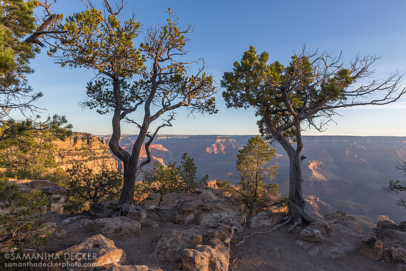 Grand Canyon South Rim Sunrise
