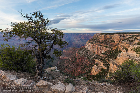 Grand Canyon