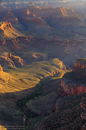 Into the Depths of the Canyon