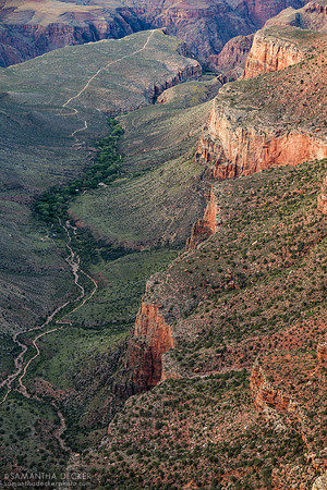 Looking Down into the Grand Canyon