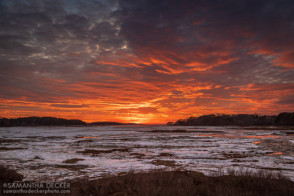 Blackfish Creek, Wellfleet, MA