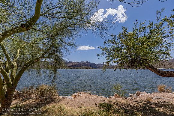 Saguaro Lake, Mesa, AZ